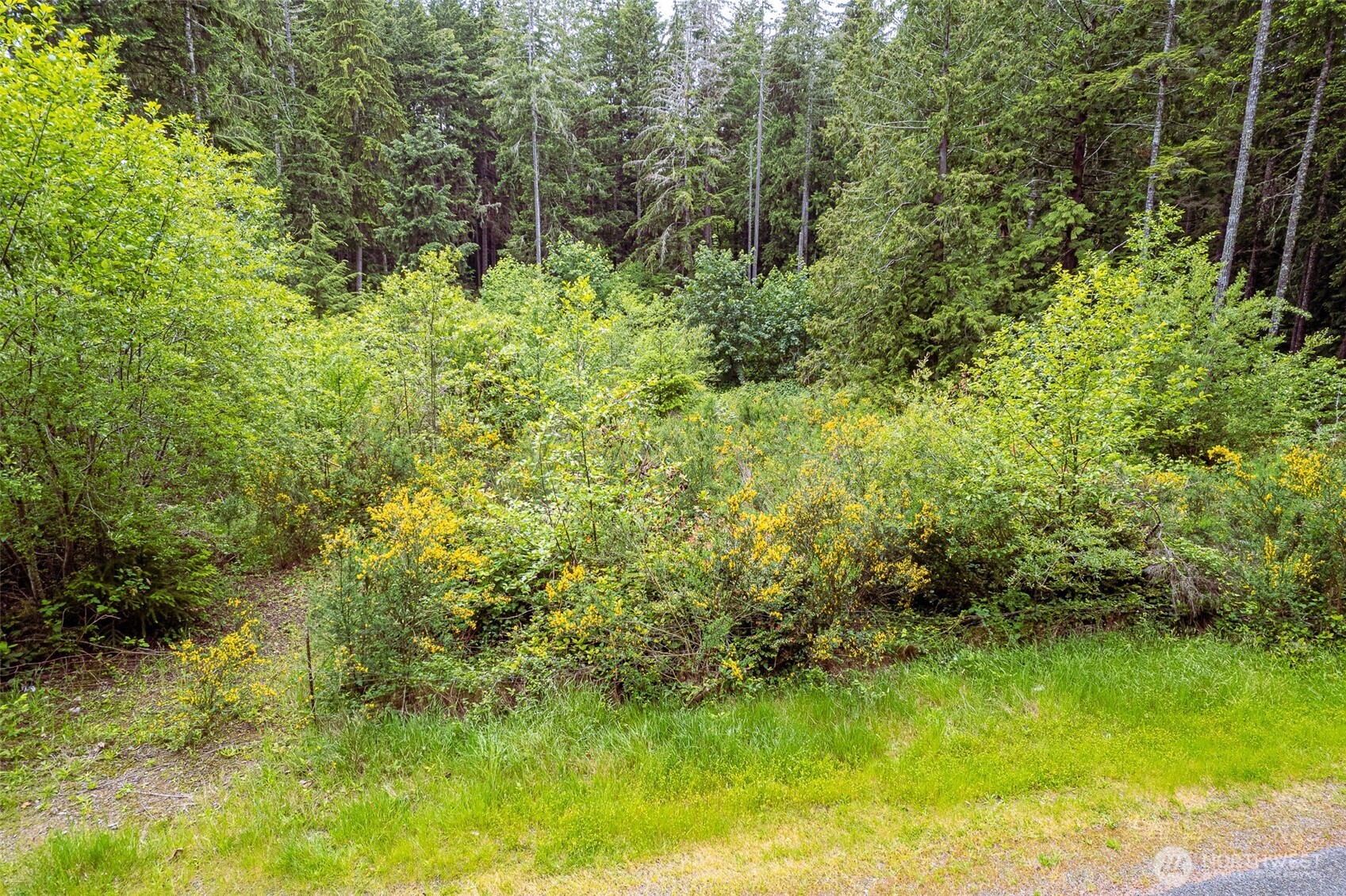 811 Herron Road Northwest Lakebay, WA 98349 - Photo 10 of 11 a view of a garden