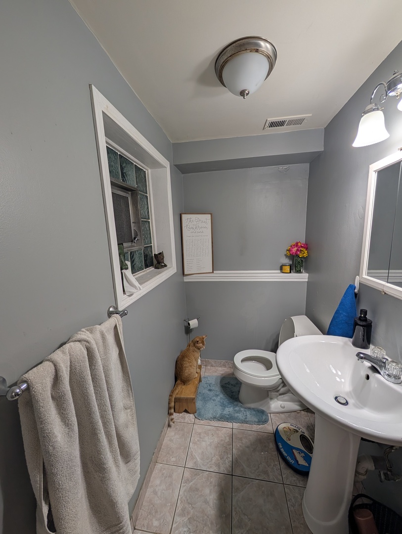 22W425 Arbor Lane Glen Ellyn, IL 60137 - Photo 15 of 18 a bathroom with a sink mirror and toilet