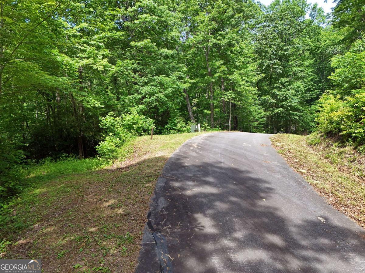 Lot 12 Hightower Ridge Hiawassee, GA 30546 - Photo 8 of 23