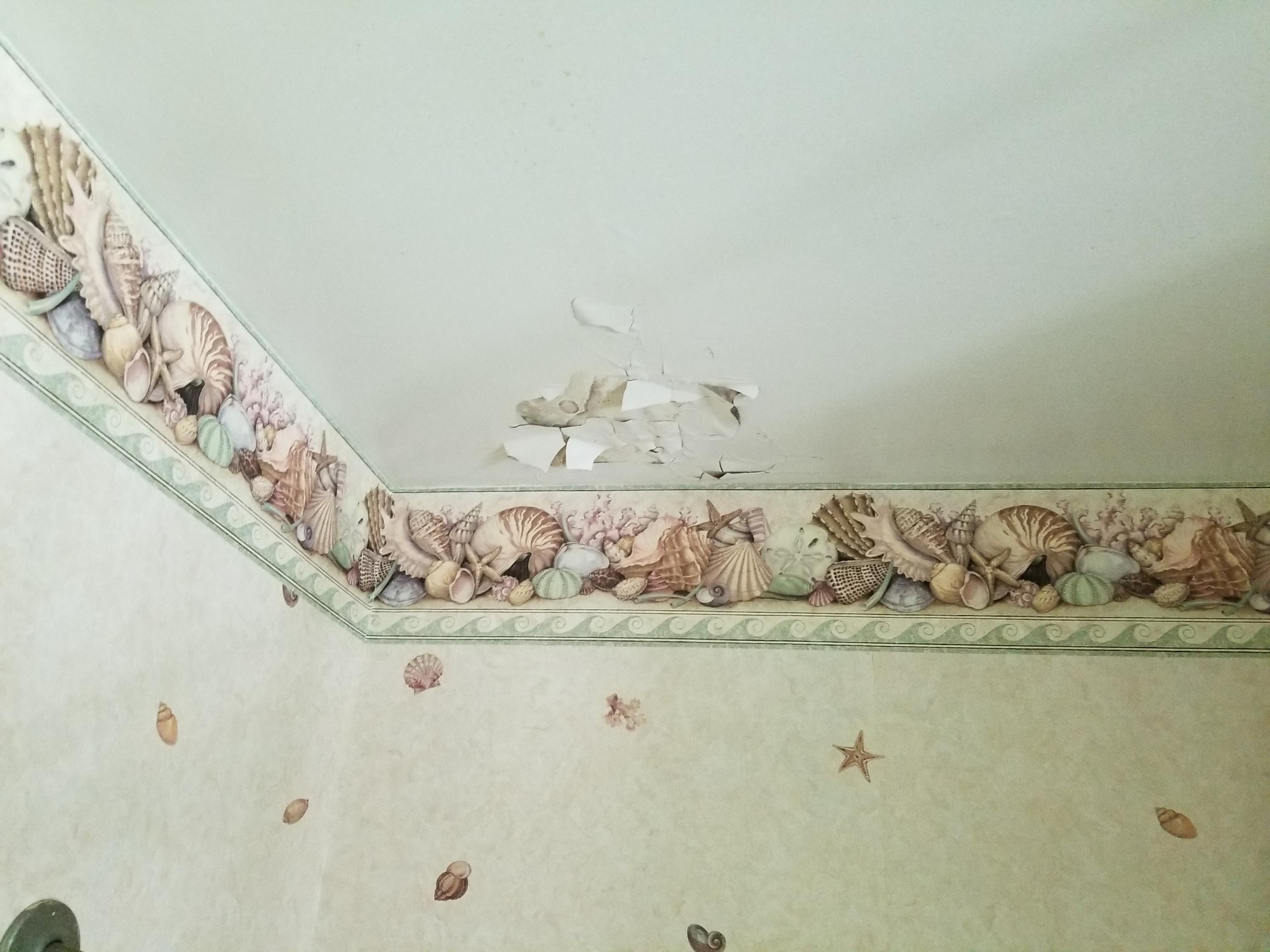 303 Betsy Road Charleston, SC 29407 - Photo 22 of 37 20200723_113703