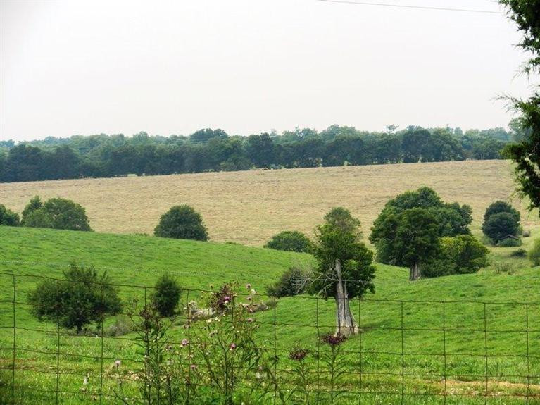 2404 Jackstown Road Carlisle, KY 40311 - Photo 2 of 36 Photo 2