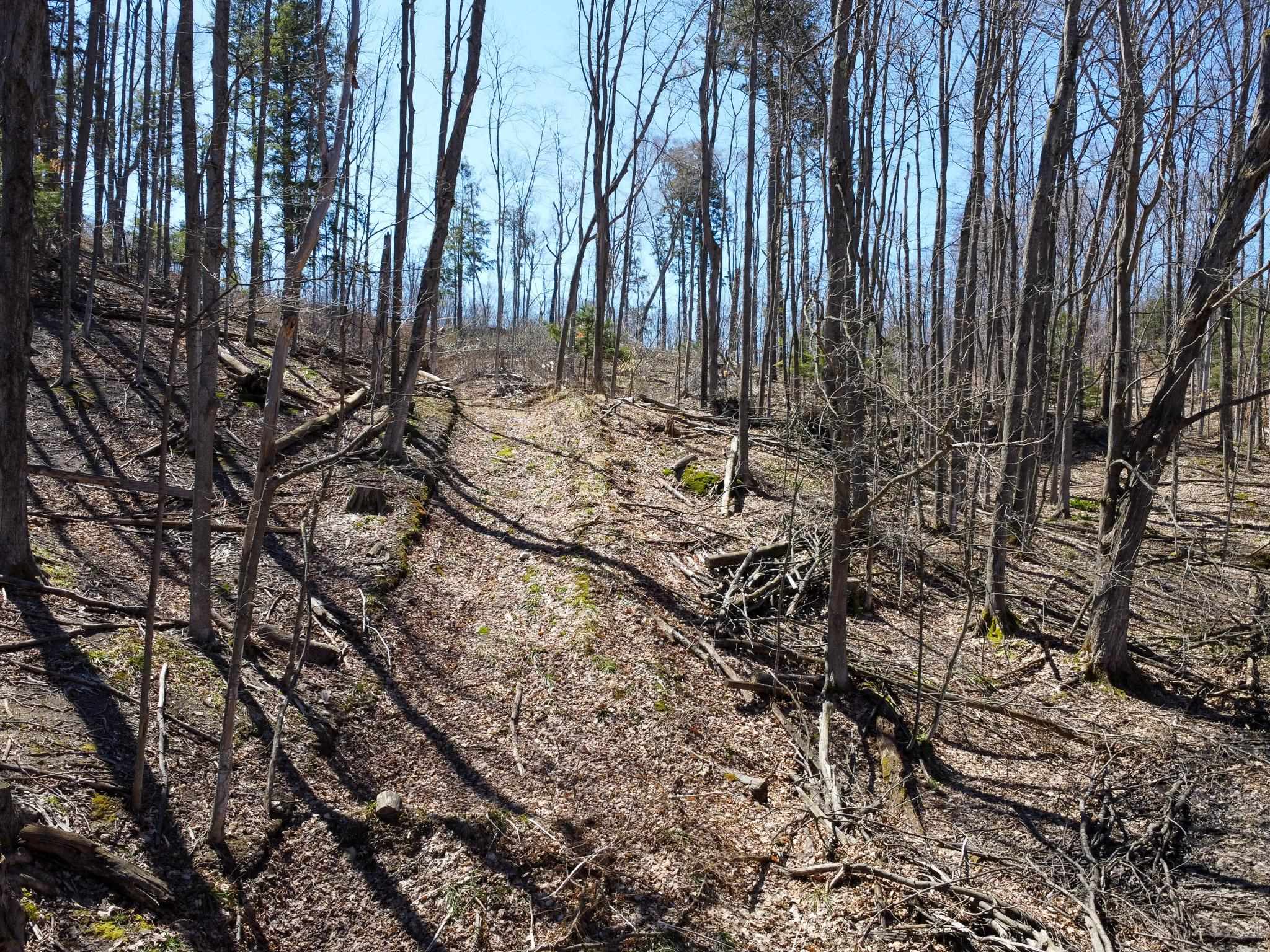 0 East Smiseth Road Suttons Bay, MI 49682 - Photo 12 of 67