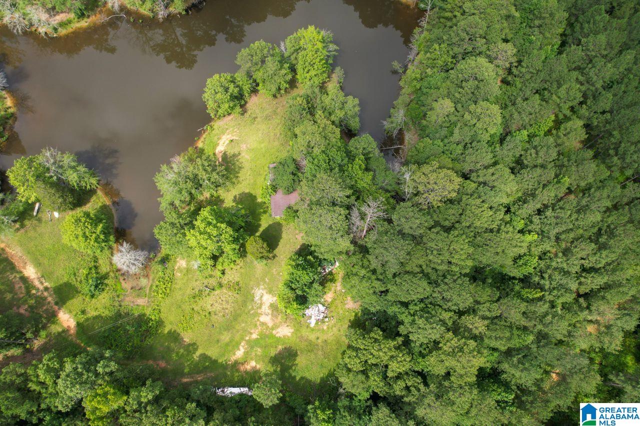 9 Acres, Unit 9 Sterrett, AL 35147 - Photo 4 of 8