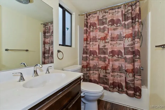 a bathroom with a sink and a toilet