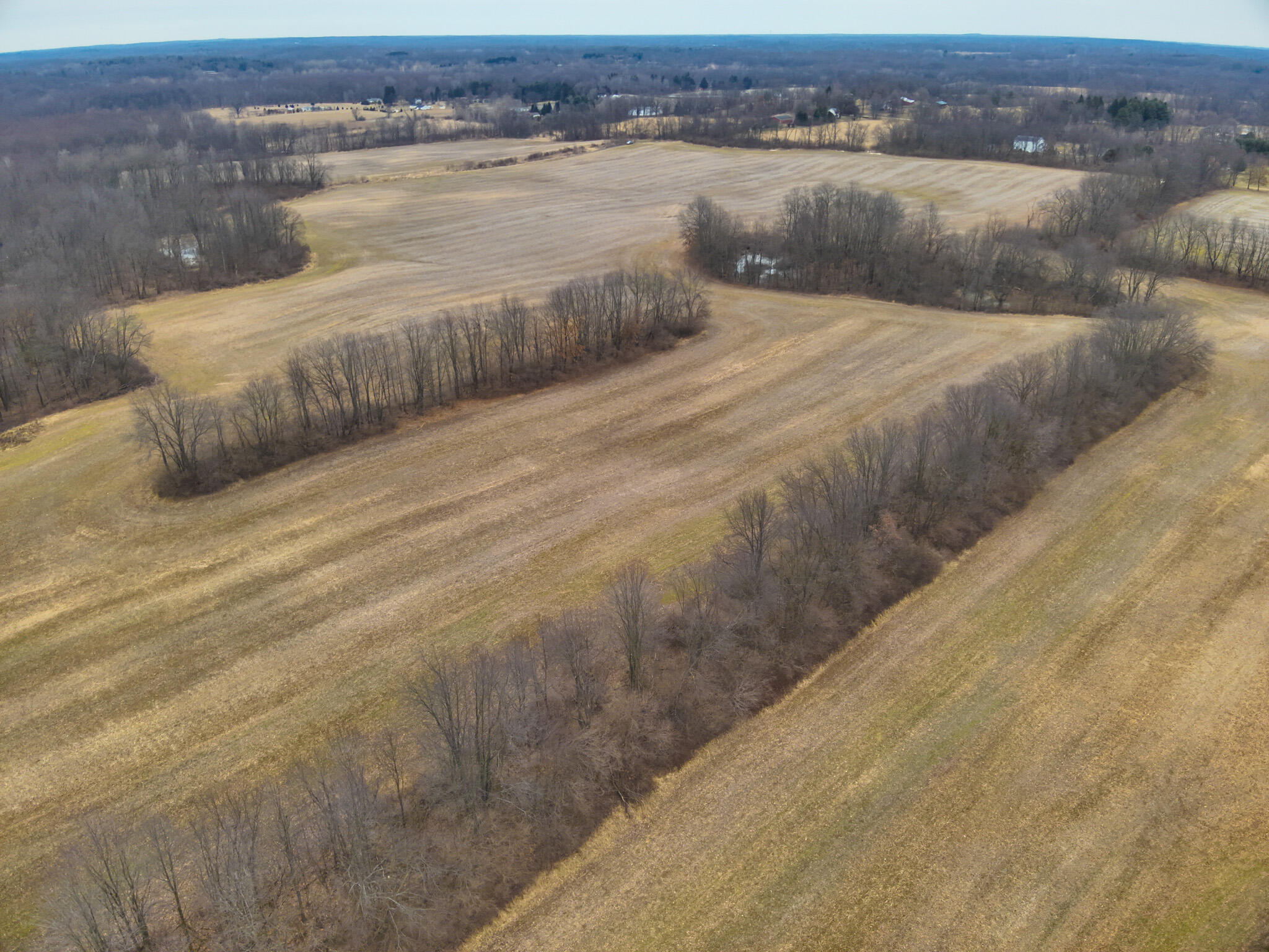 Carlson Road Parma, MI 49269 - Photo 11 of 16 DJI_20250308012735_0015_V