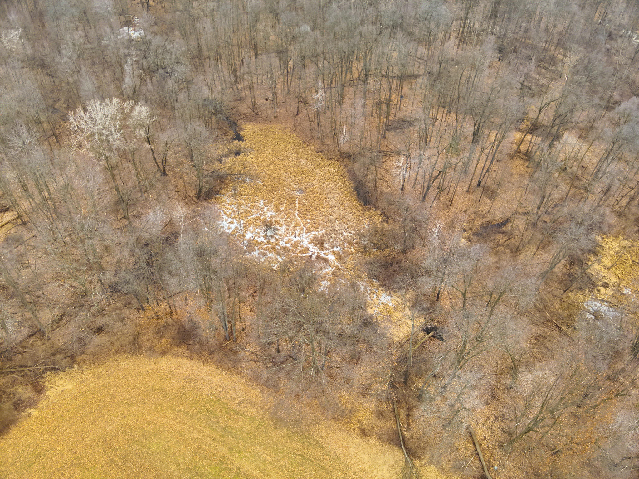 Carlson Road Parma, MI 49269 - Photo 12 of 16 DJI_20250308012755_0016_V