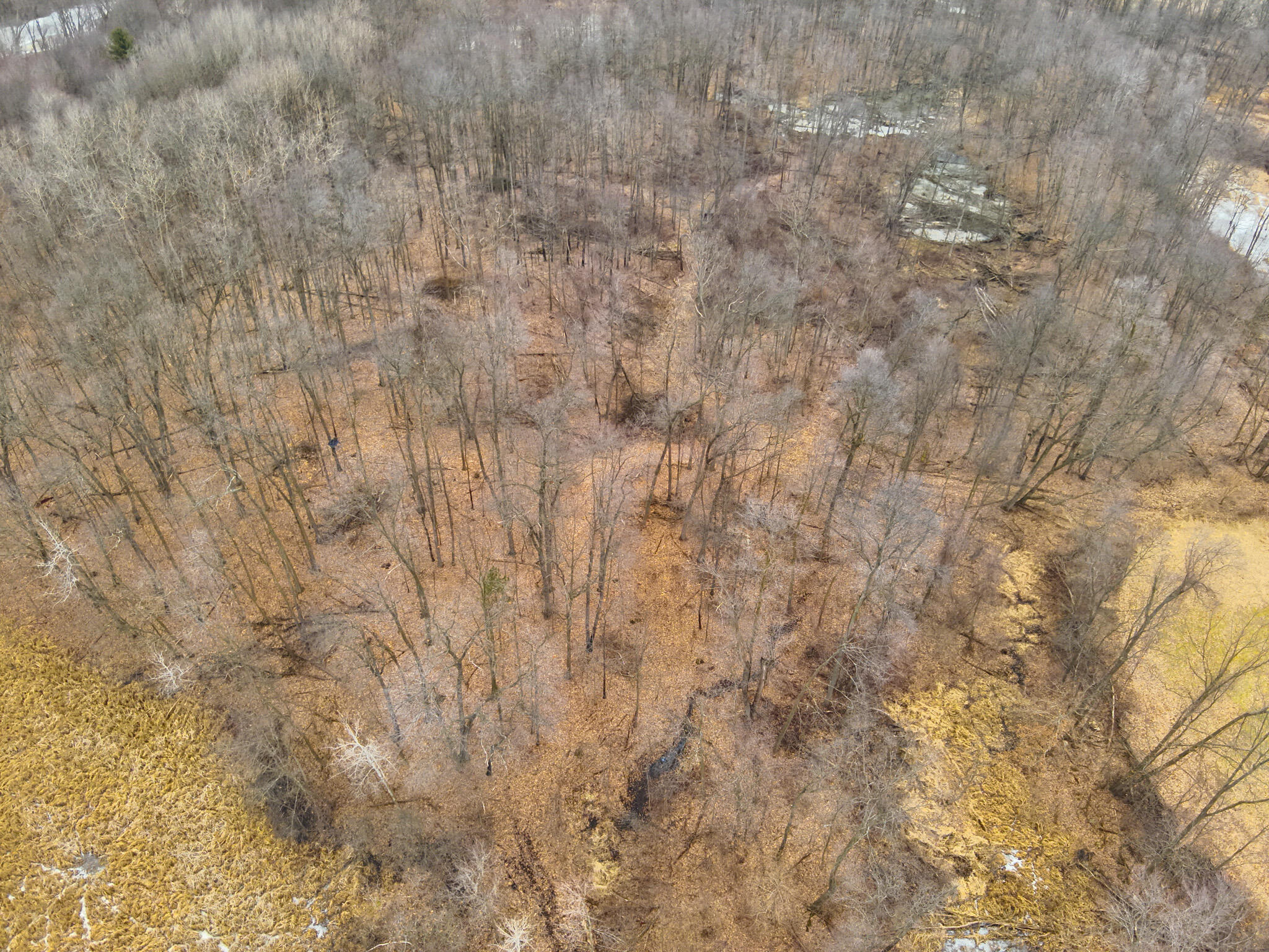 Carlson Road Parma, MI 49269 - Photo 13 of 16 DJI_20250308012805_0017_V