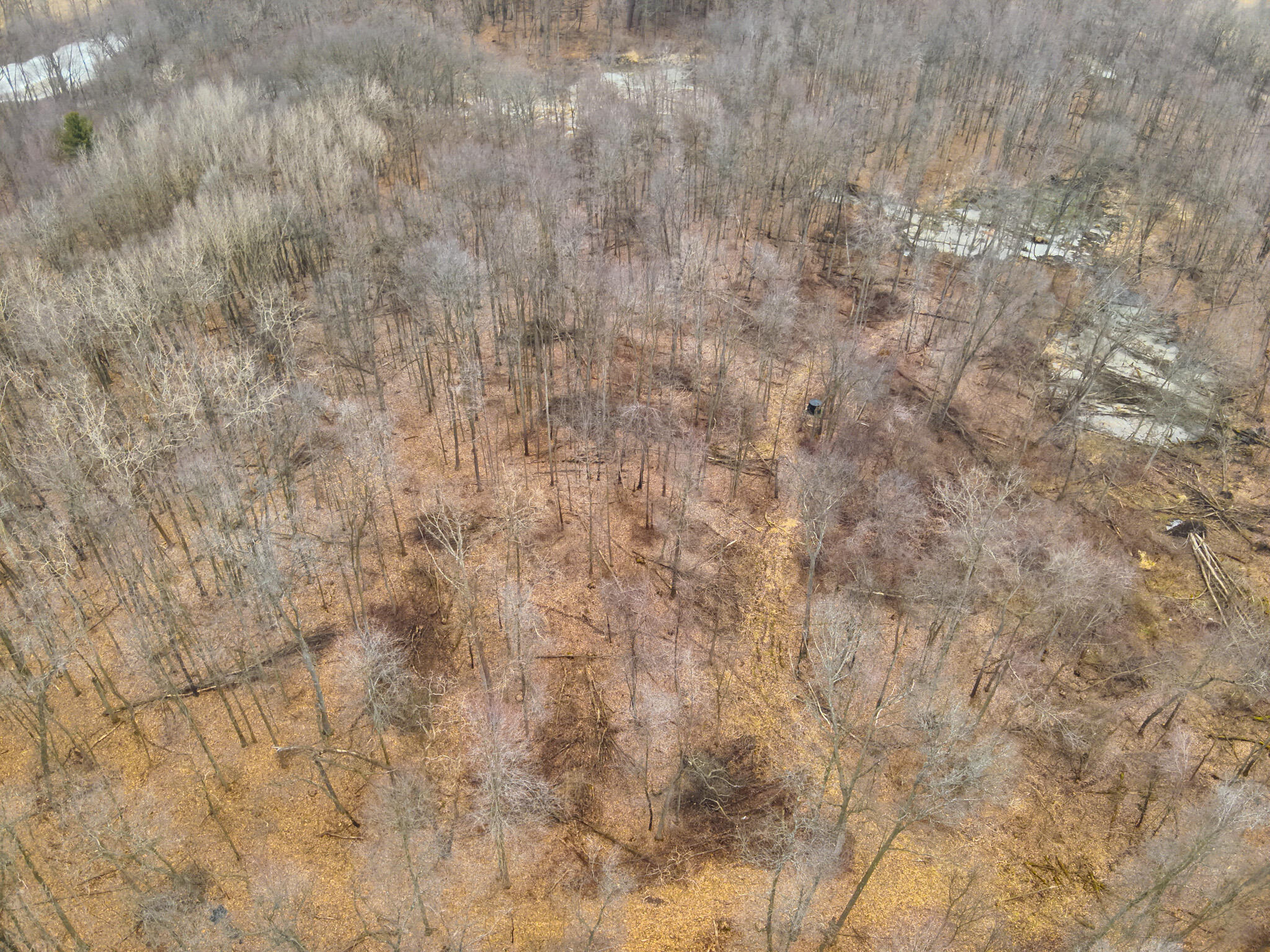 Carlson Road Parma, MI 49269 - Photo 14 of 16 DJI_20250308012813_0019_V