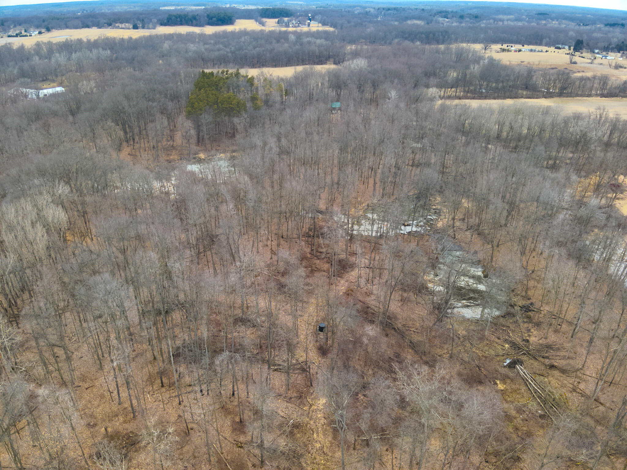 Carlson Road Parma, MI 49269 - Photo 15 of 16 DJI_20250308012818_0020_V