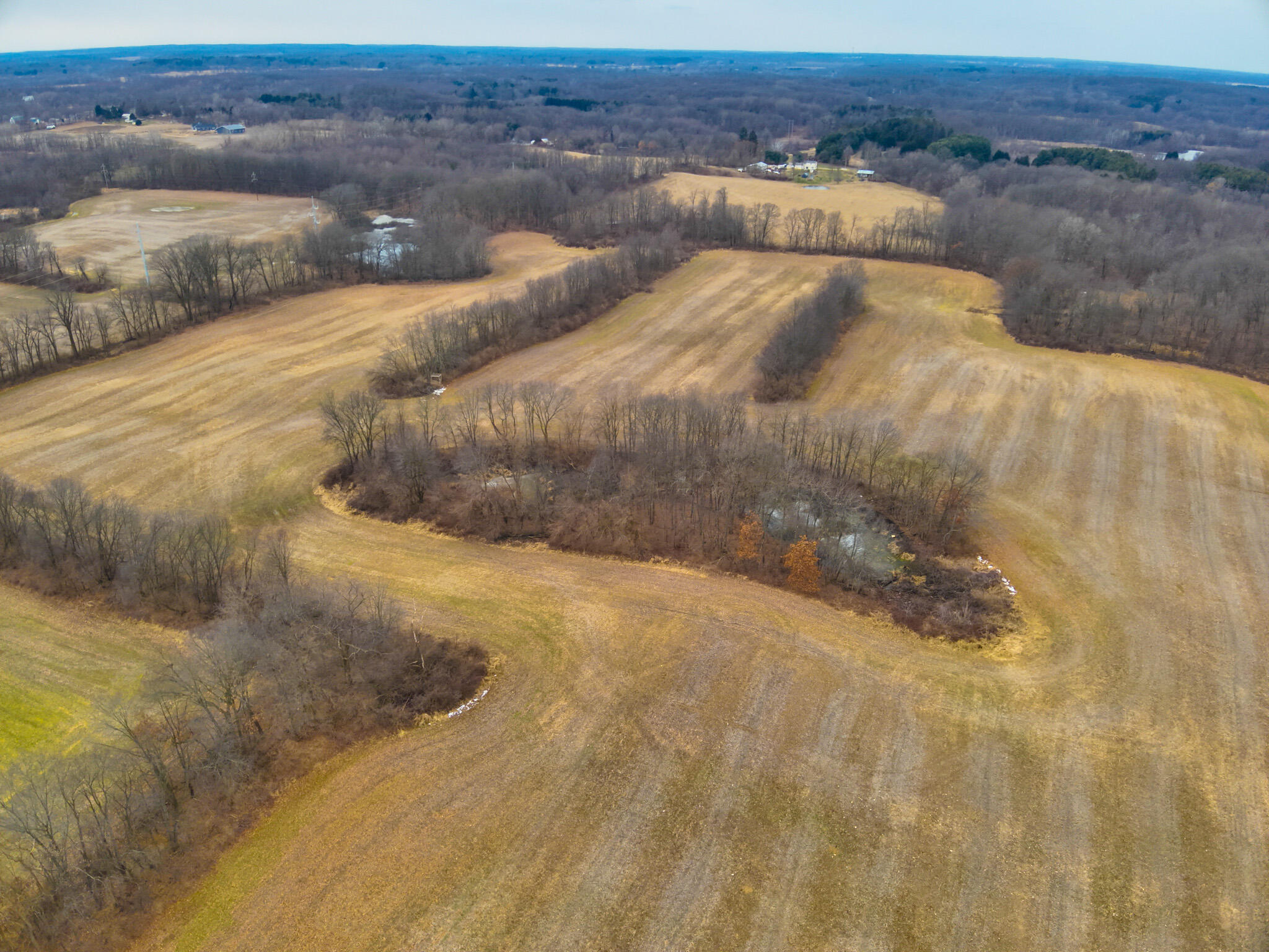 Carlson Road Parma, MI 49269 - Photo 3 of 16 DJI_20250308012342_0005_V