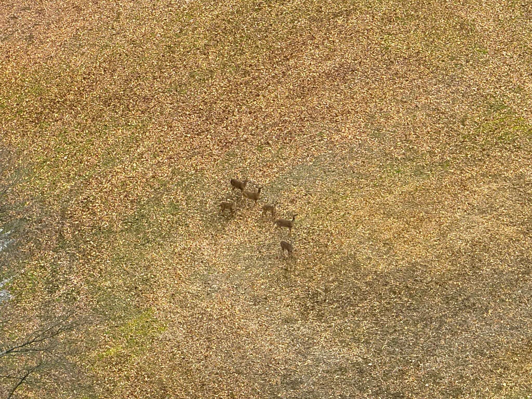 Carlson Road Parma, MI 49269 - Photo 8 of 16 DJI_20250308012537_0012_V
