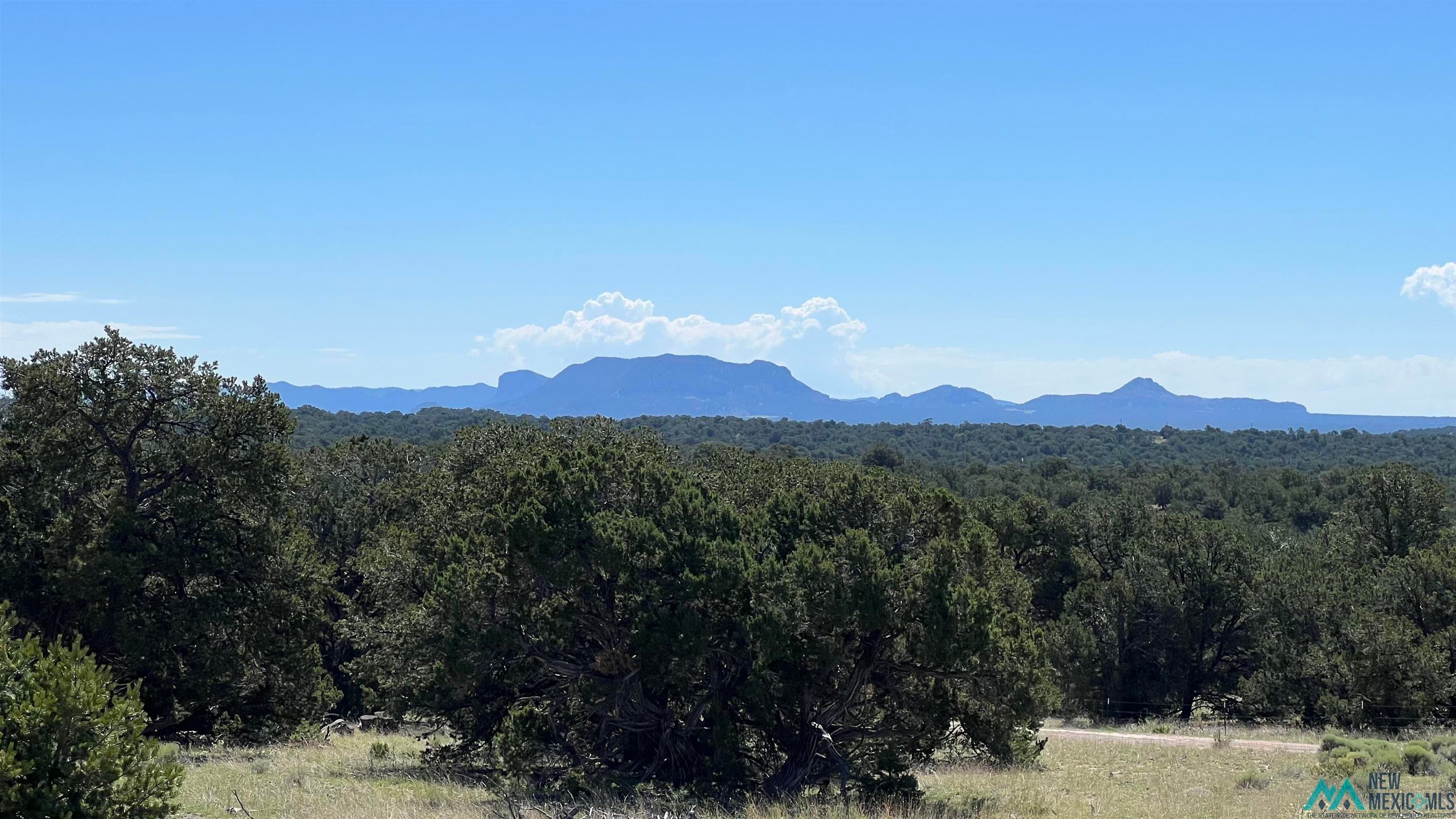 Tbd Solano Road Pie Town, NM 87827 - Photo 1 of 12