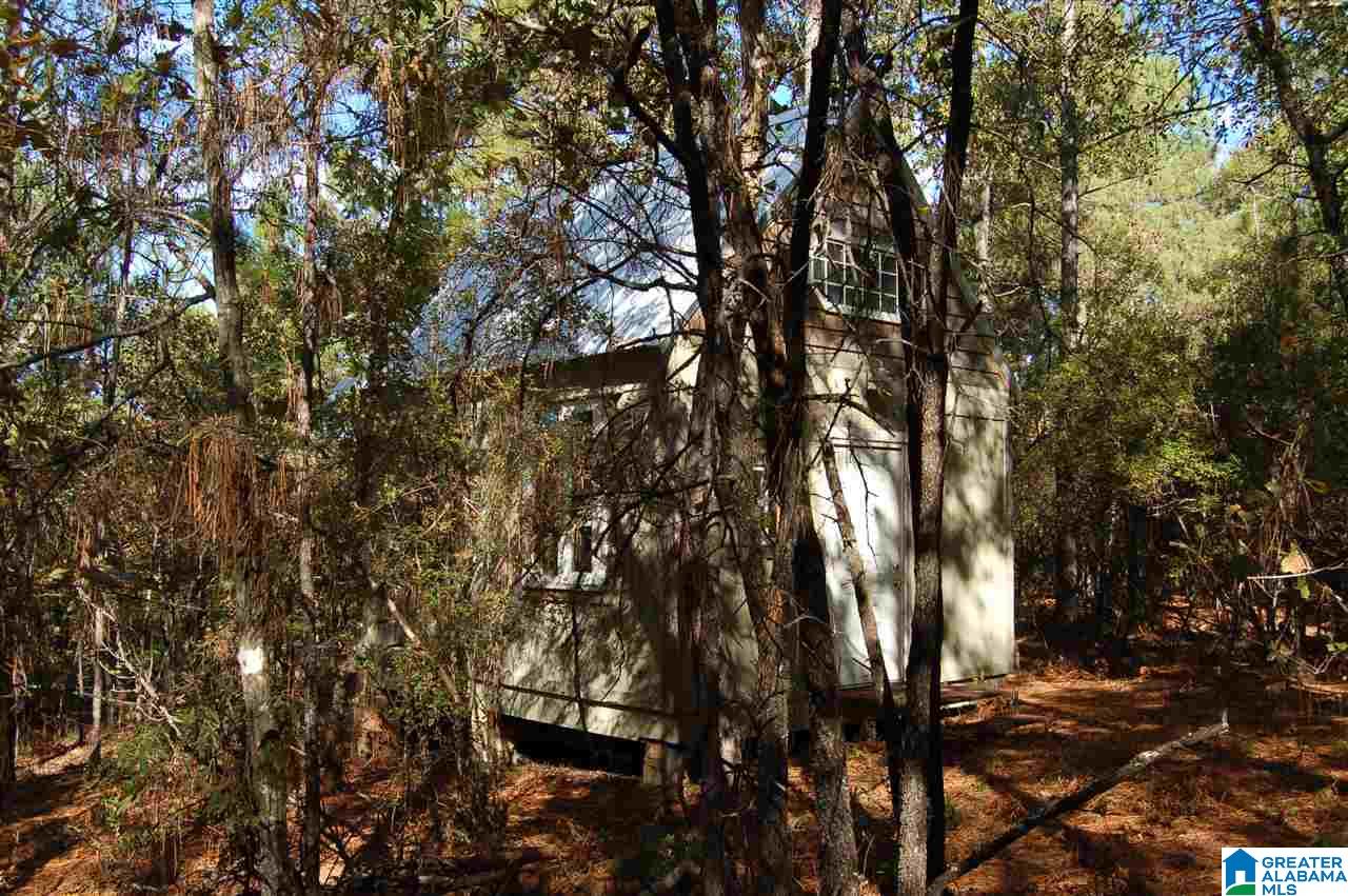 22.49-acres Double Branch Road, Unit 22 49 ACRES Marion, AL 36756 - Photo 27 of 30