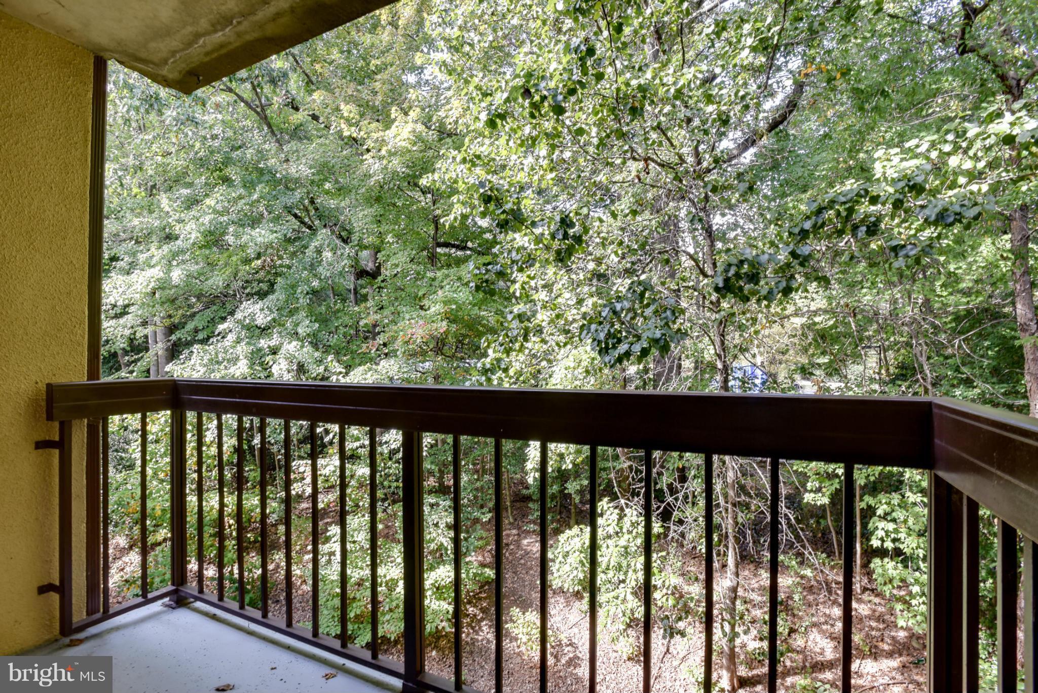 2202 Castle Rock Square, Unit 21C Reston, VA 20191 - Photo 21 of 23 Balcony