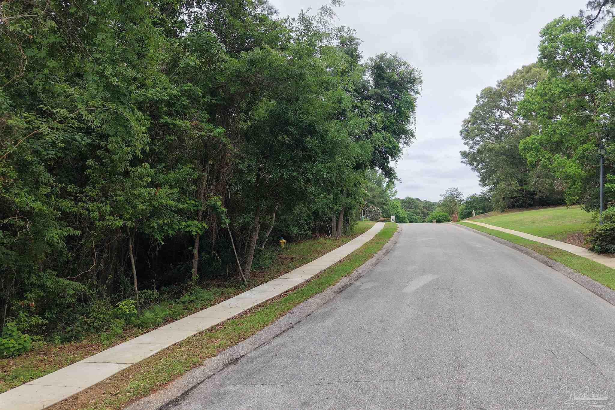 0 Rhett Drive Daphne, AL 36527 - Photo 13 of 29 a view of a road with a yard and large trees