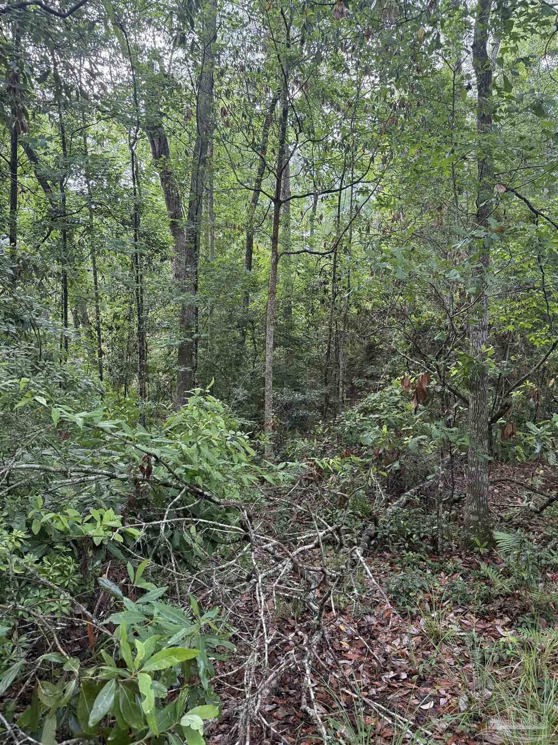 0 Rhett Drive Daphne, AL 36527 - Photo 2 of 6