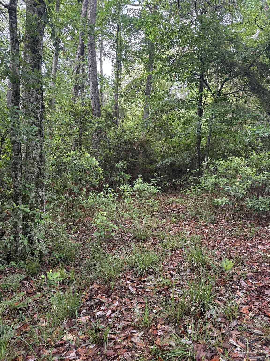 0 Rhett Drive Daphne, AL 36527 - Photo 3 of 6