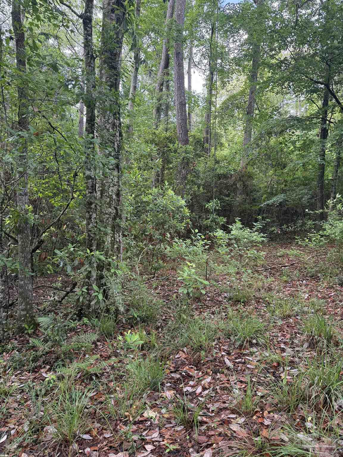 0 Rhett Drive Daphne, AL 36527 - Photo 4 of 6