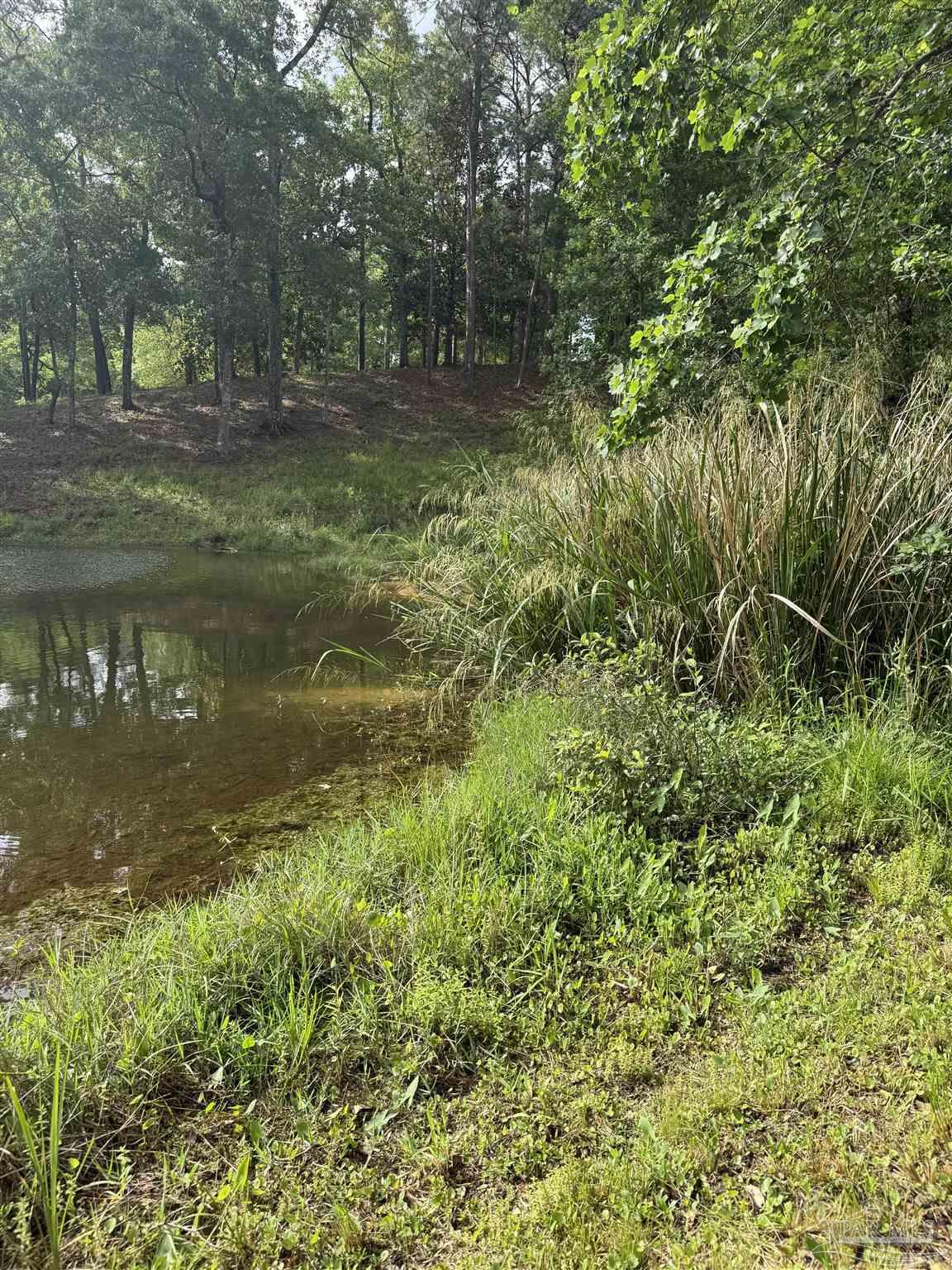 0 Rhett Drive Daphne, AL 36527 - Photo 5 of 6