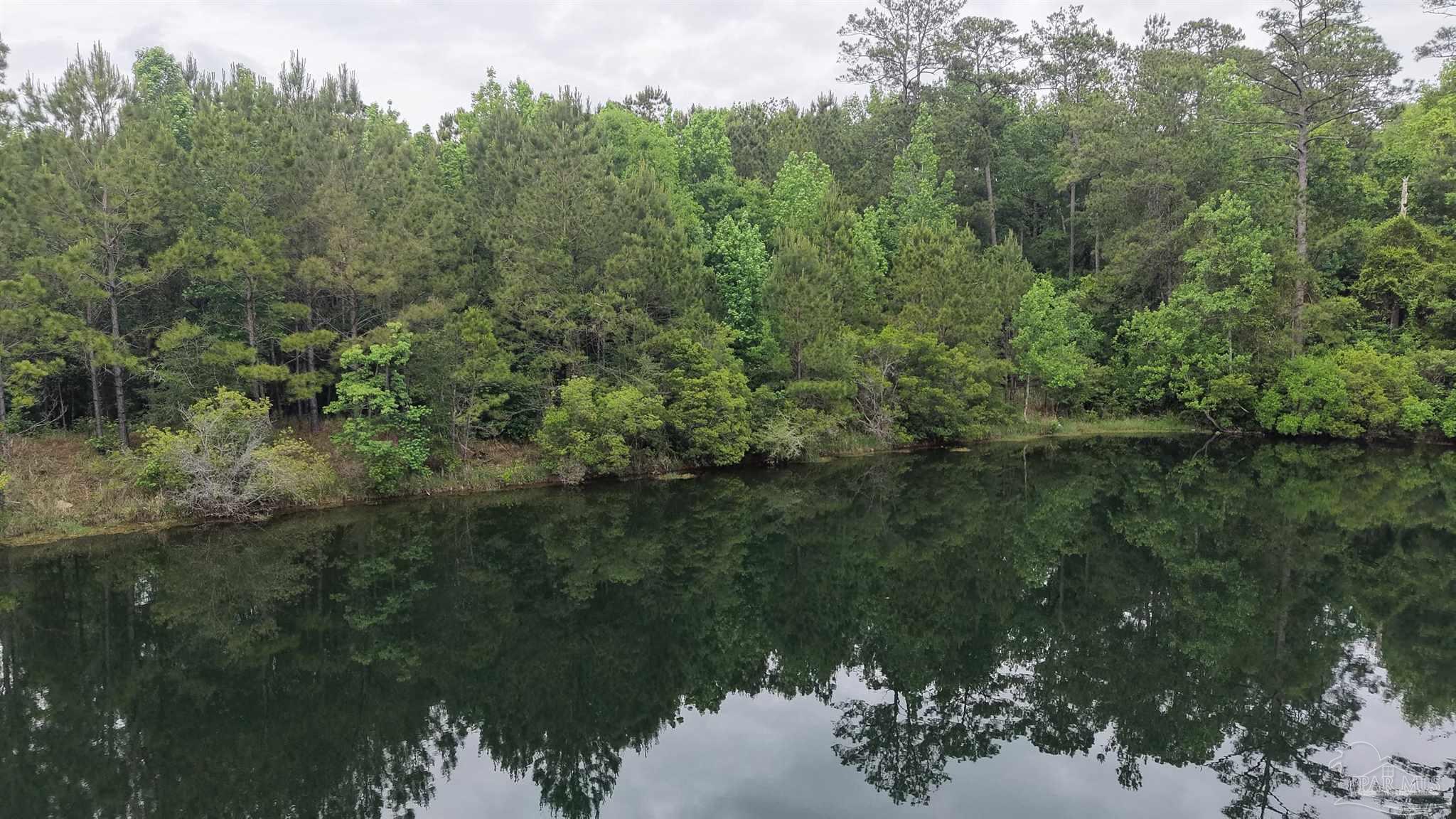 0 Rhett Drive Daphne, AL 36527 - Photo 7 of 29 a view of a lake from a forest