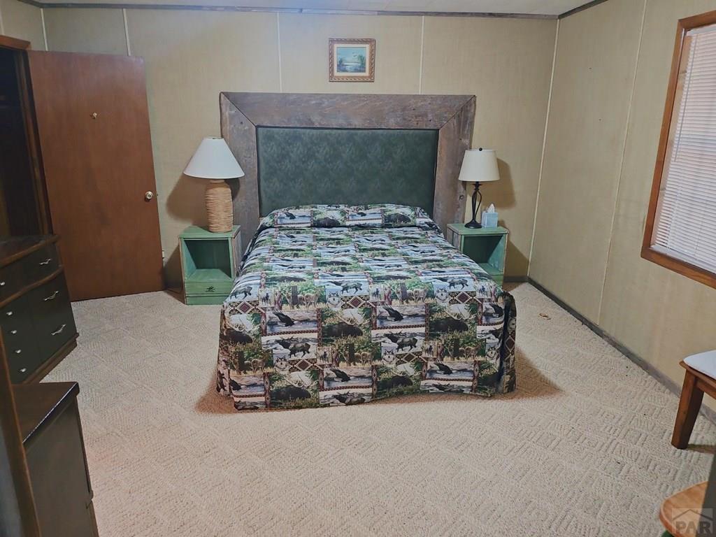 114 Silvercliffe Drive Rye, CO 81069 - Photo 10 of 13