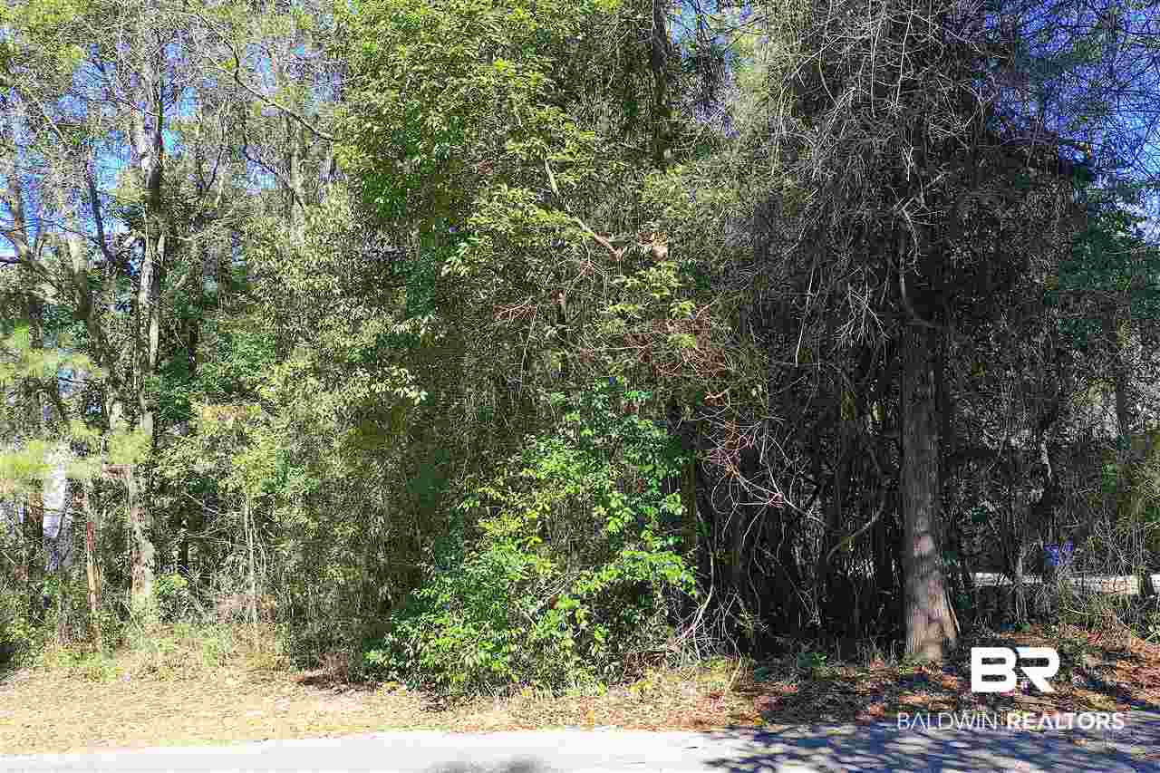 0 Landing Road Daphne, AL 36526 - Photo 1 of 5