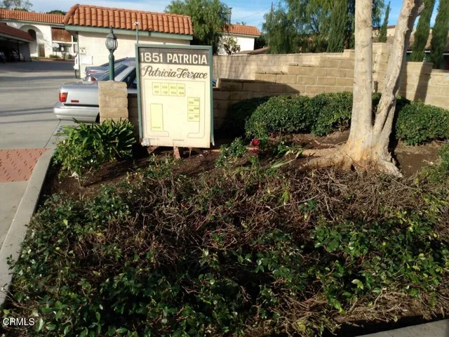 a view of a back yard