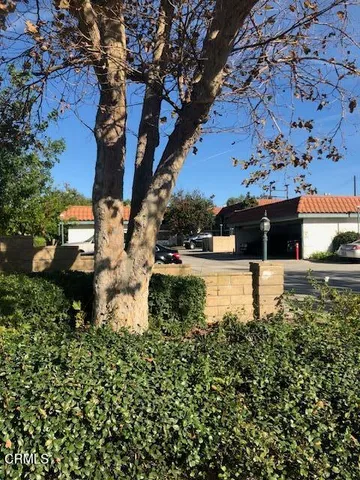 a view of a water fountain