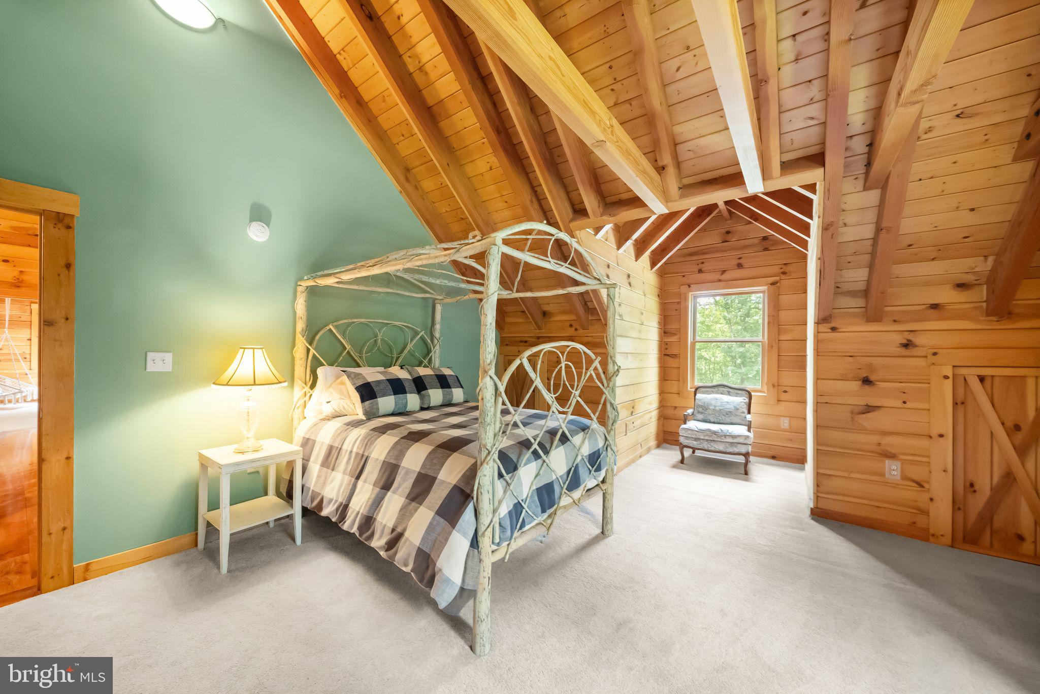 4020 Millwood Road Boyce, VA 22620 - Photo 53 of 132 Vaulted ceilings and walk-in closets & storage.