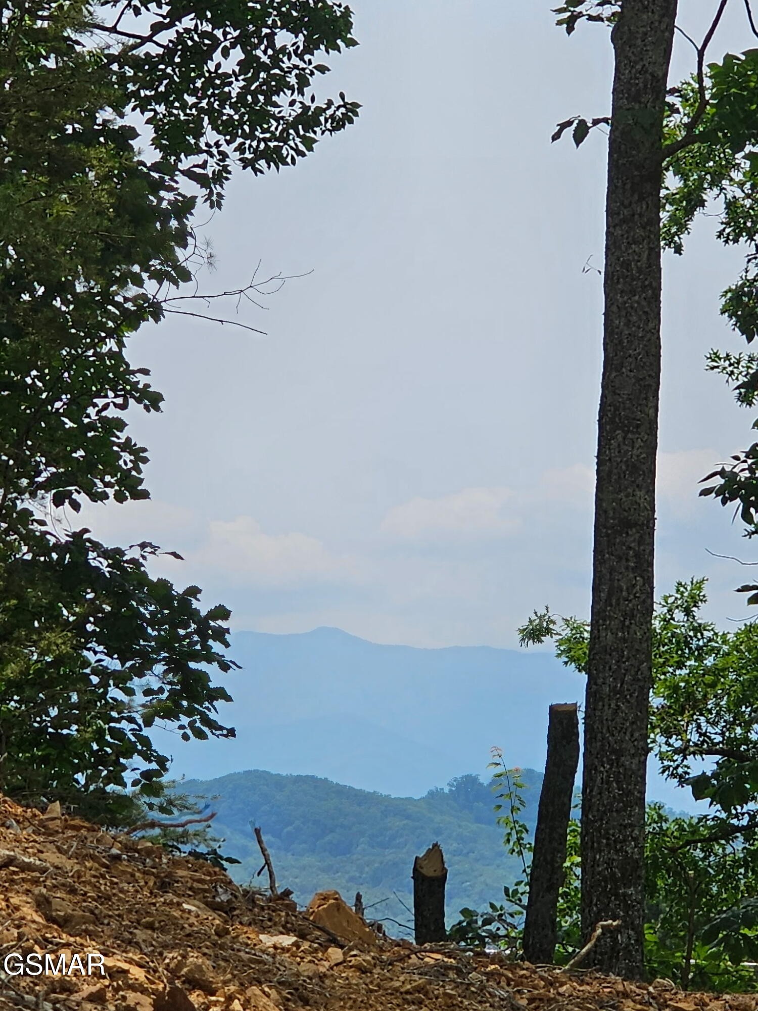 124 Sharp Road Sevierville, TN 37876 - Photo 9 of 14