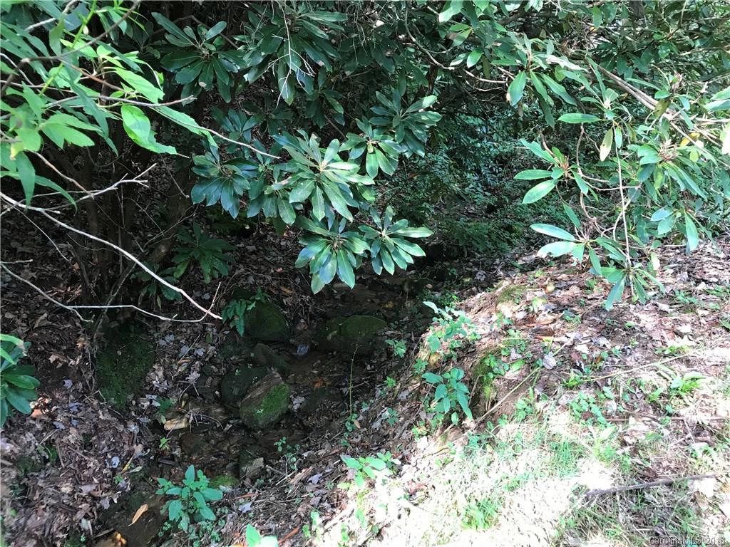 416 Clinic Road Balsam Grove, NC 28708 - Photo 9 of 30 Gallery Image 9