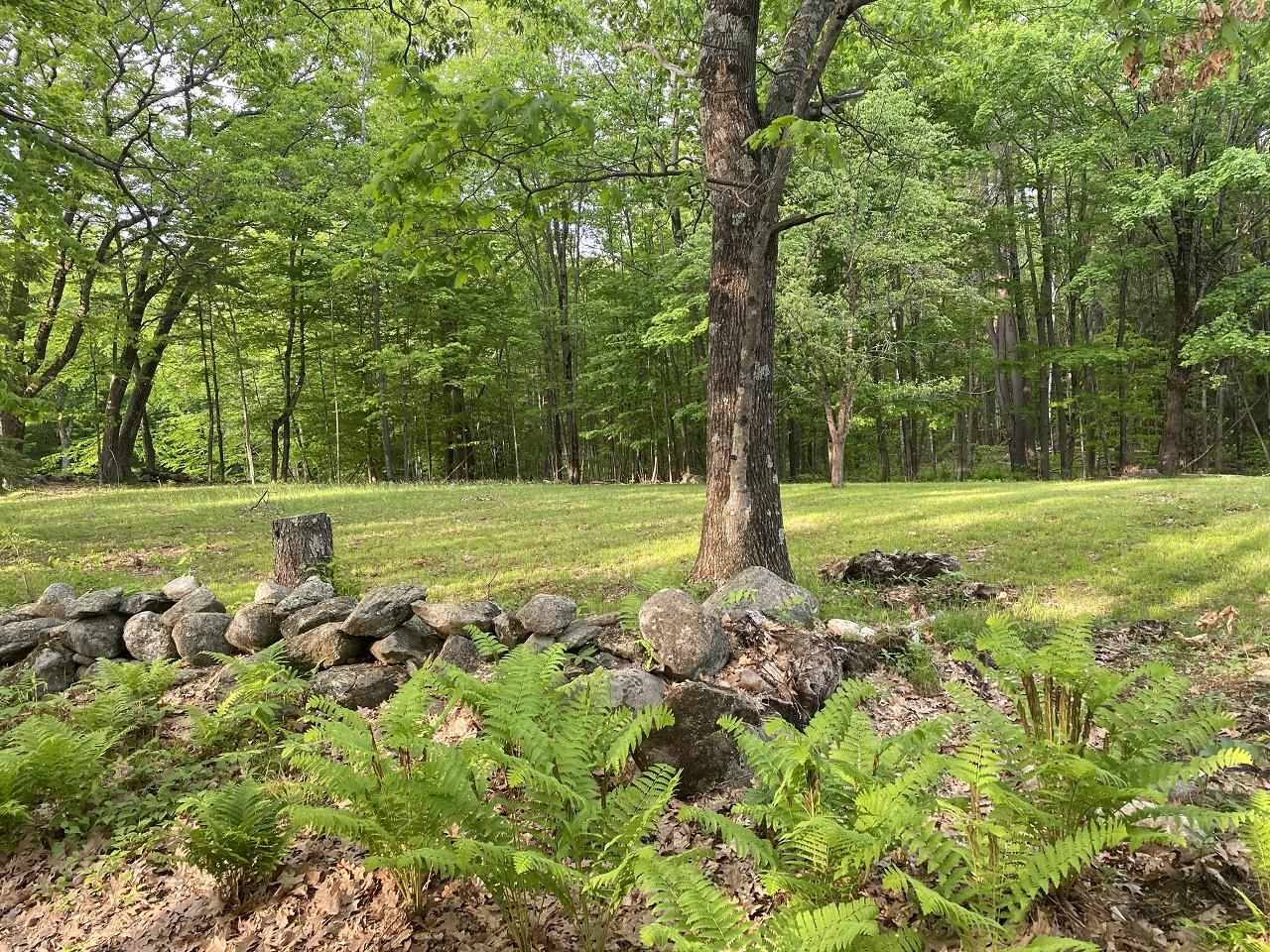 469 S Road, Unit MAP 5 LOT 422 Sullivan, NH 03445 - Photo 2 of 12