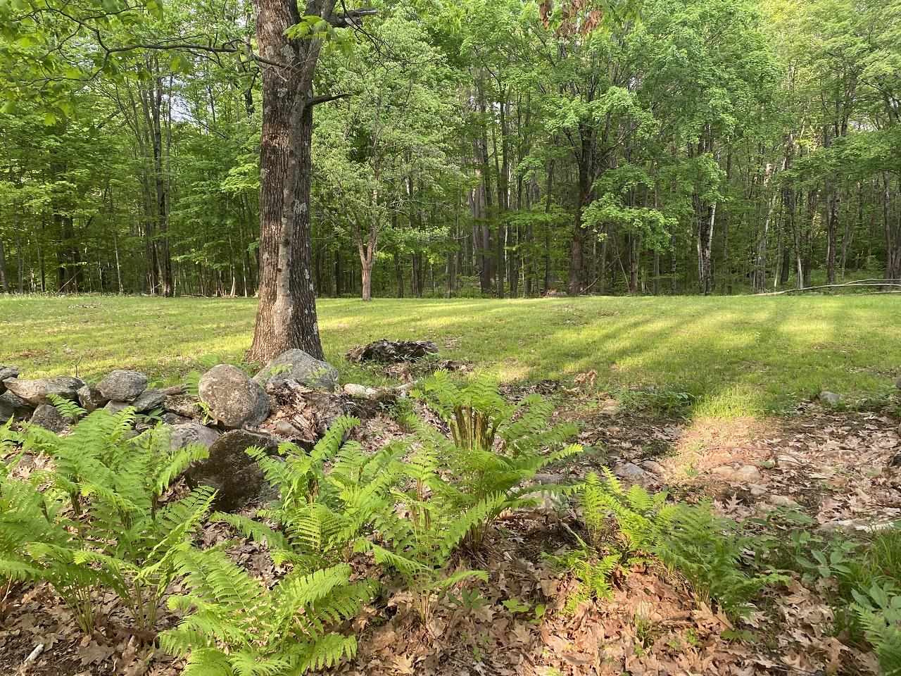 469 S Road, Unit MAP 5 LOT 422 Sullivan, NH 03445 - Photo 3 of 12