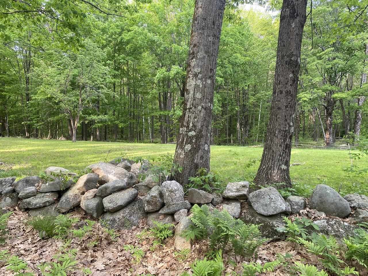 469 S Road, Unit MAP 5 LOT 422 Sullivan, NH 03445 - Photo 4 of 12