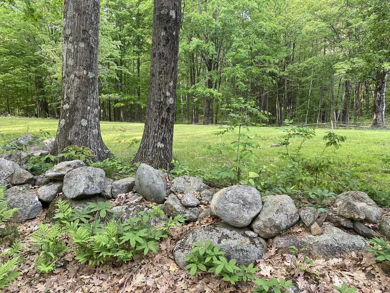 469 S Road, Unit MAP 5 LOT 422 Sullivan, NH 03445 - Photo 6 of 12