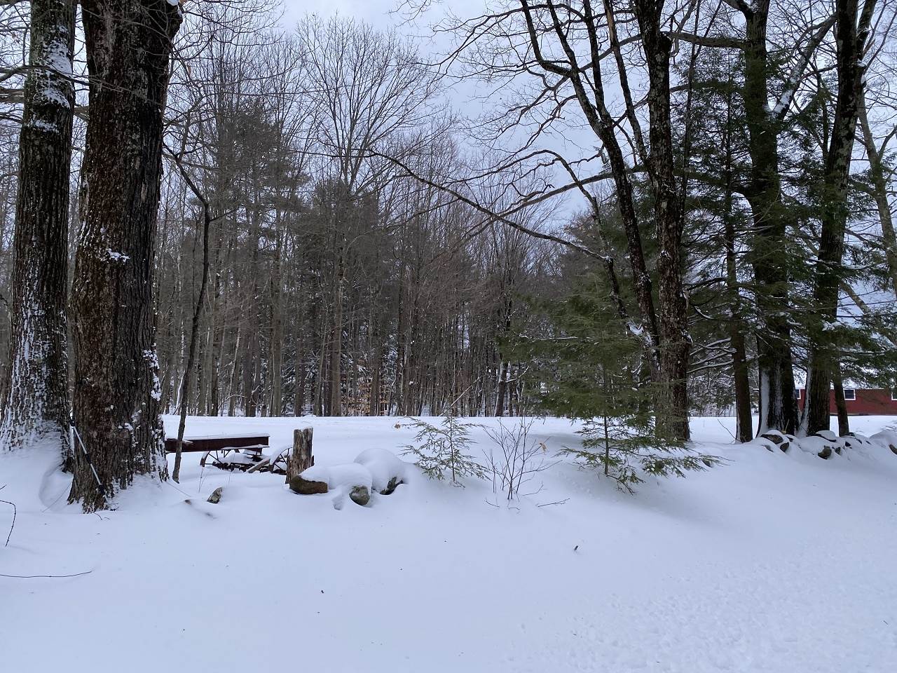 469 S Road, Unit MAP 5 LOT 422 Sullivan, NH 03445 - Photo 9 of 12