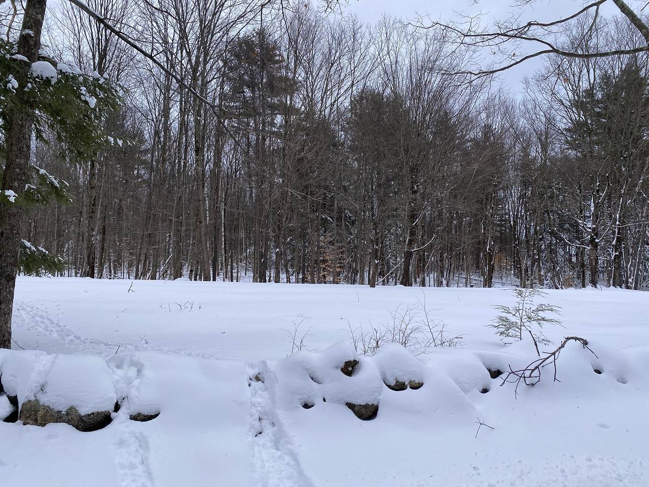 469 S Road, Unit MAP 5 LOT 422 Sullivan, NH 03445 - Photo 10 of 12