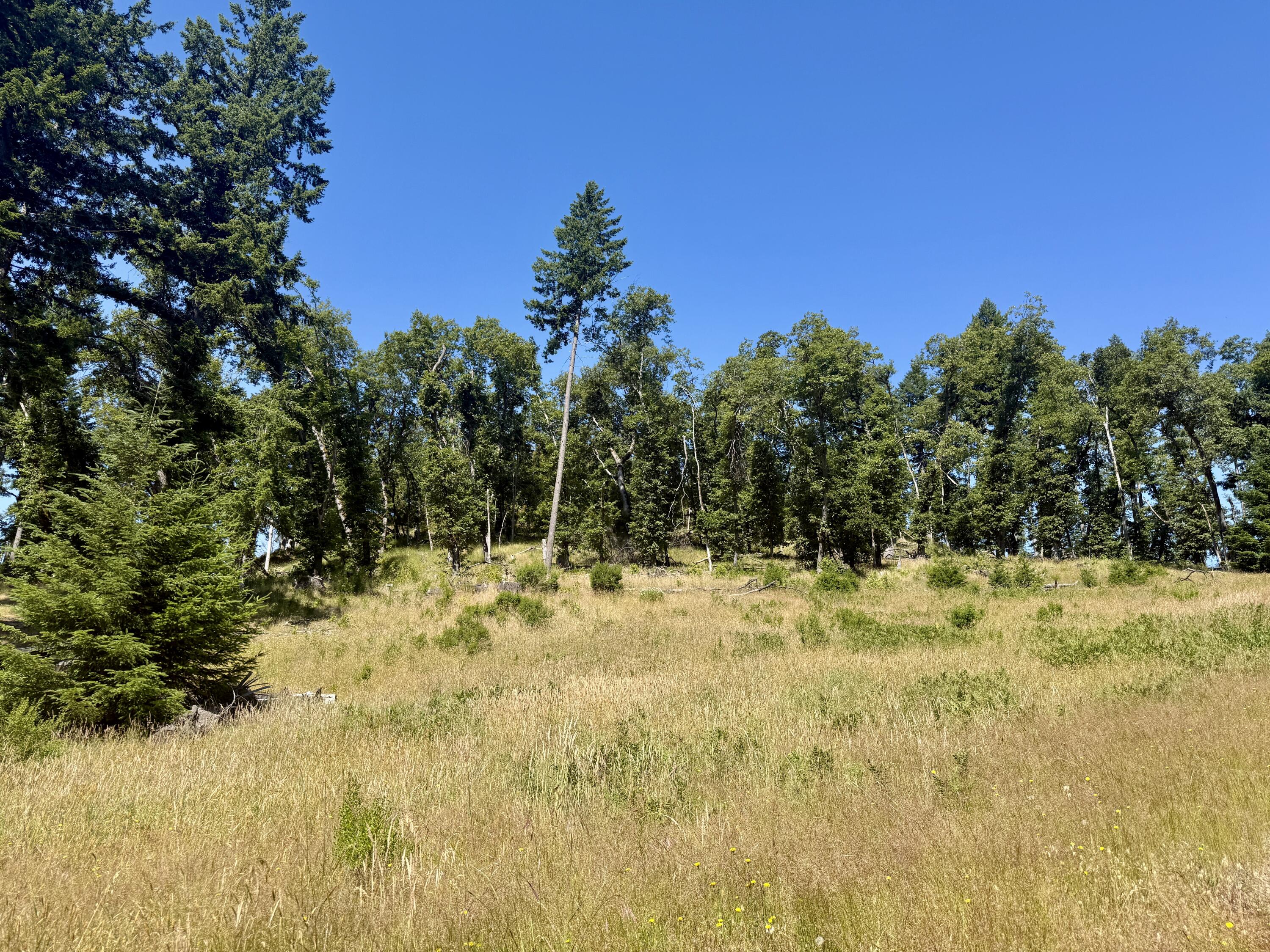 164-acres Saber Tooth Road Blue Lake, CA 95525 - Photo 4 of 11