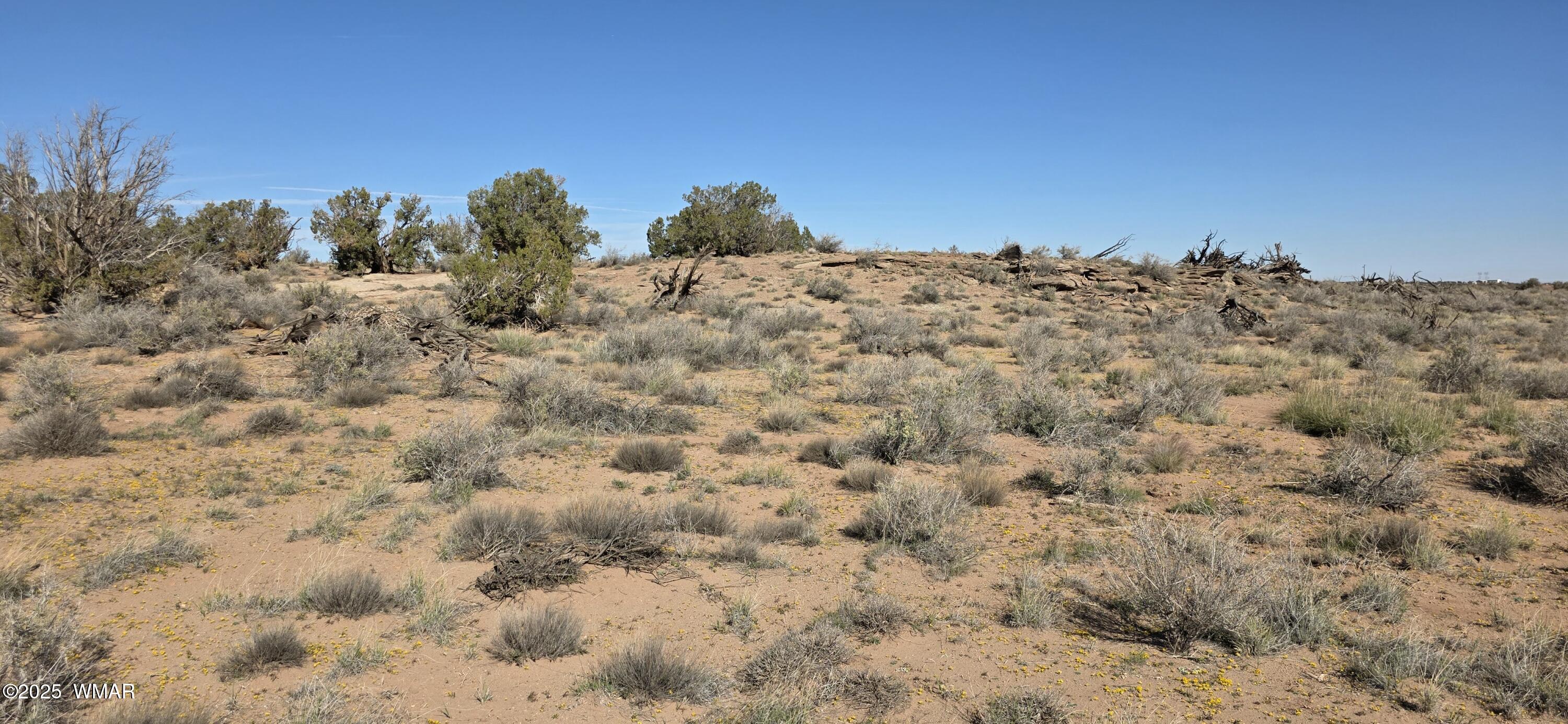 5085 Concho Ocho Road Snowflake, AZ 85937 - Photo 21 of 22 Gallery Image 21