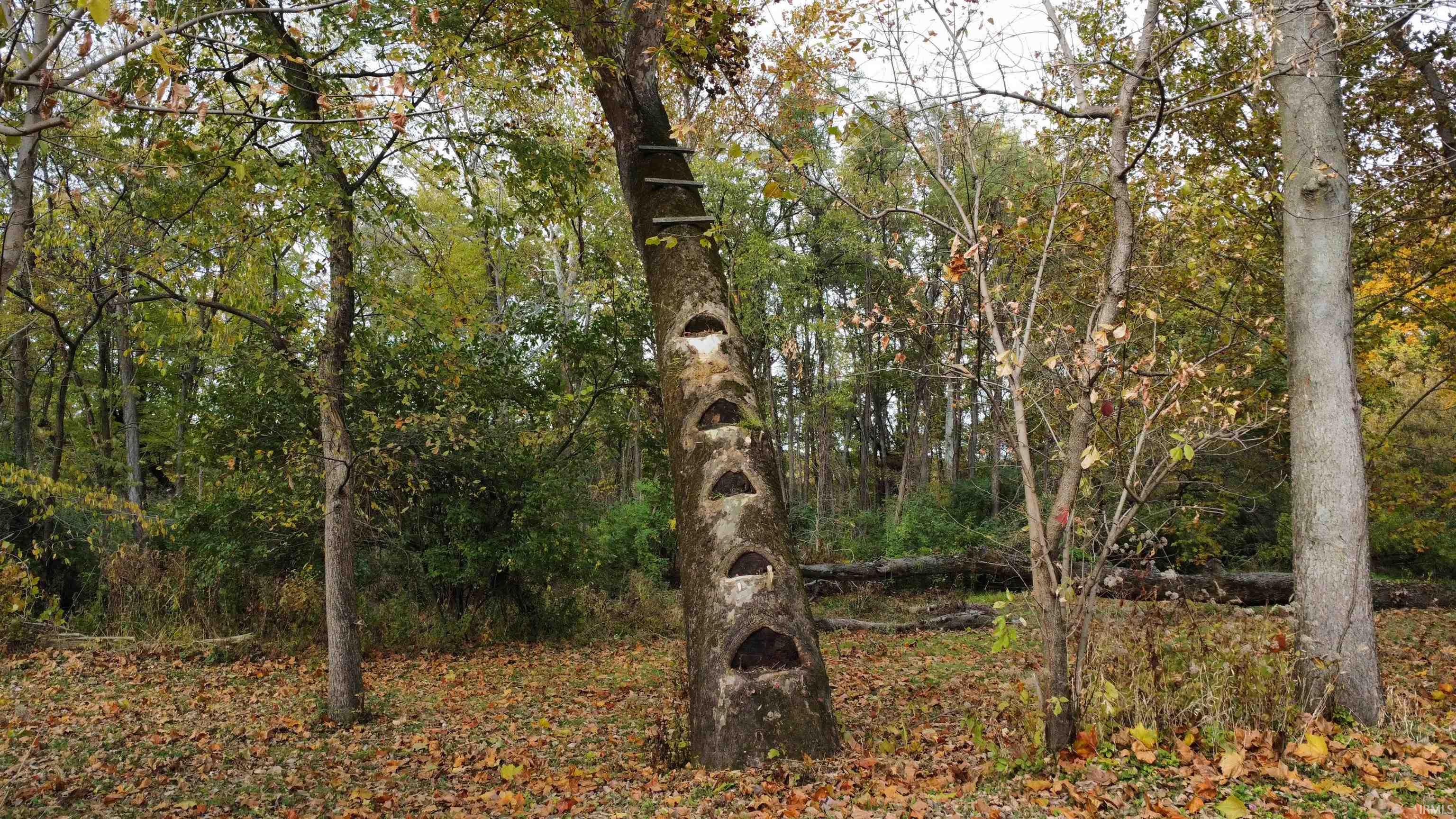 5826 North 9th St Road West Lafayette, IN 47906 - Photo 11 of 26