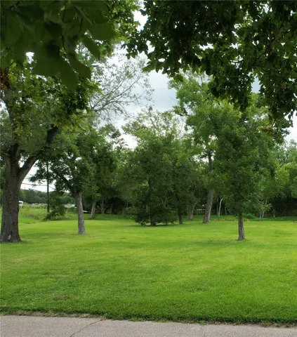 a view of a tree in a park