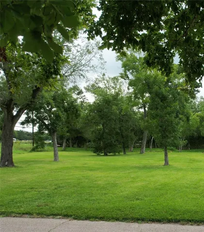 a view of a tree in a park