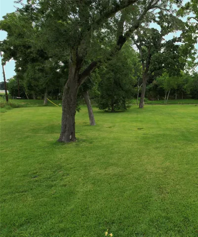 a view of a grassy field with trees in the background