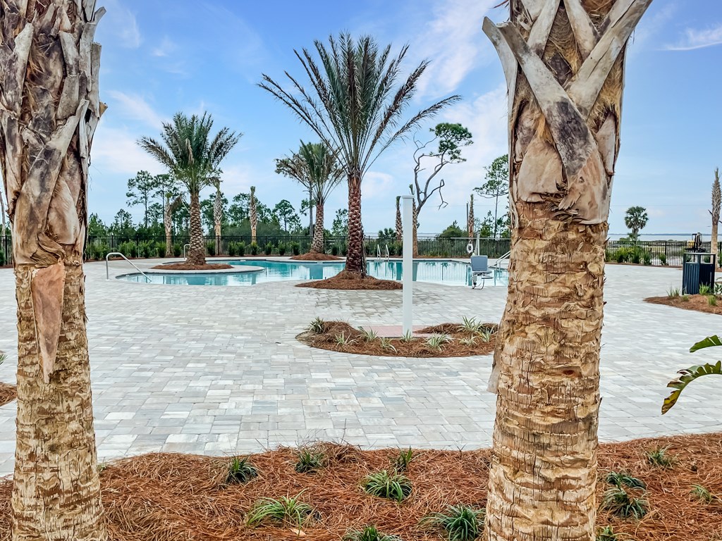 889 Backwater Road Port St. Joe, FL 32456 - Photo 46 of 63