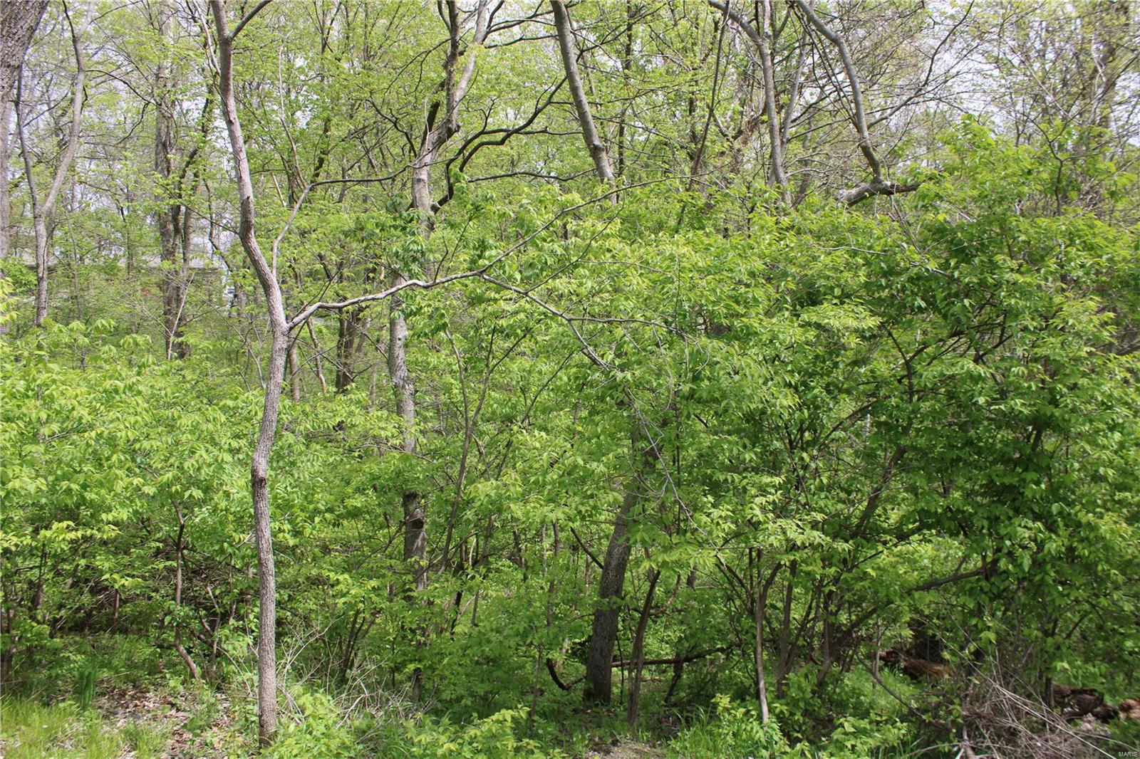 0 Funk School Road Freeburg, IL 62243 - Photo 11 of 27