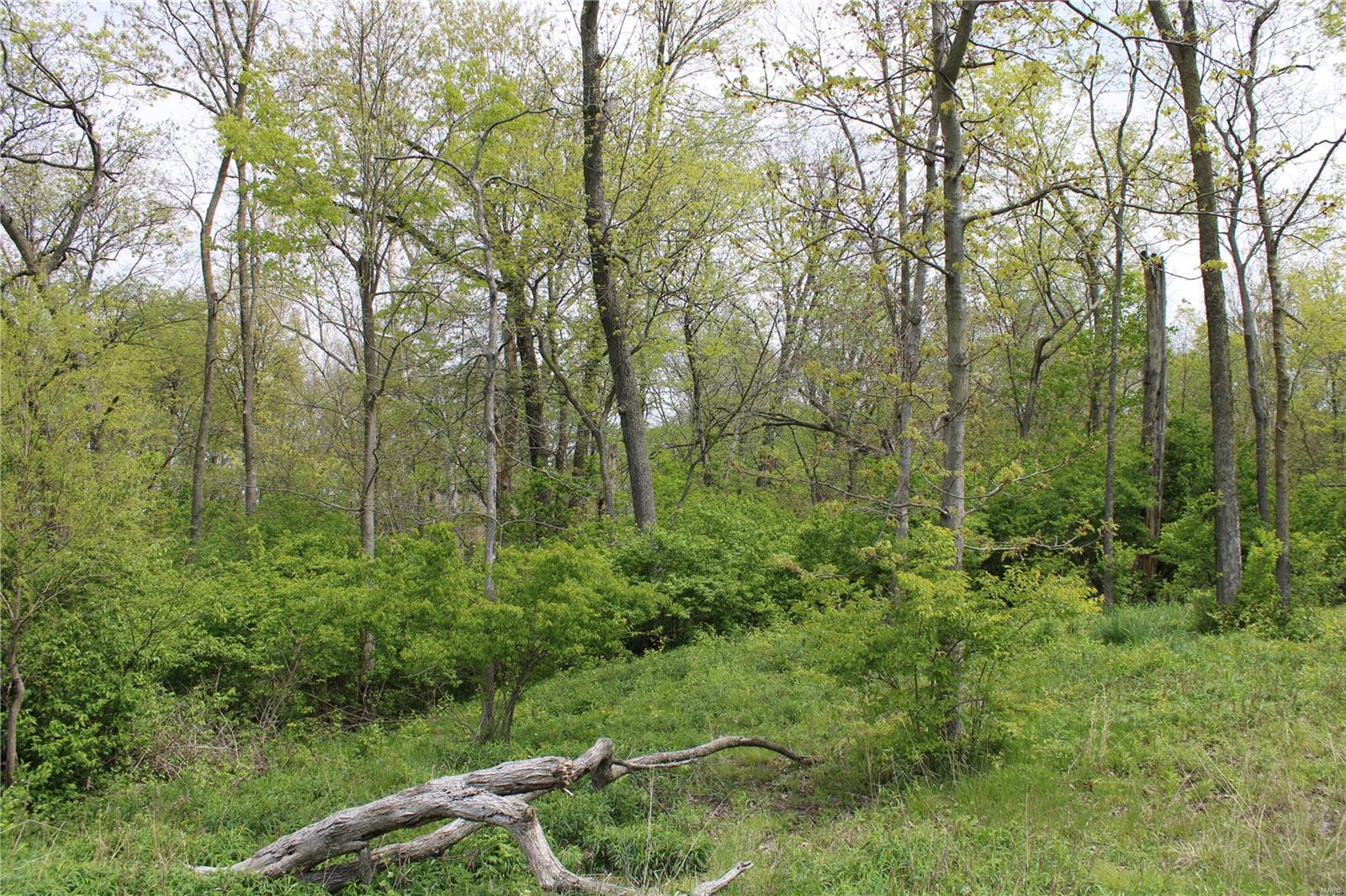 0 Funk School Road Freeburg, IL 62243 - Photo 5 of 27