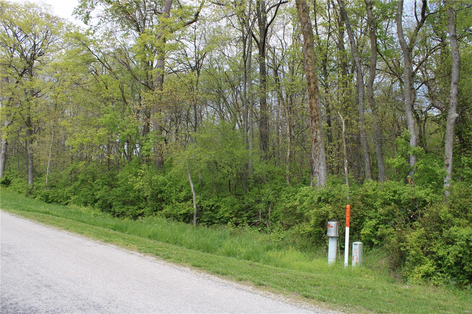 0 Funk School Road Freeburg, IL 62243 - Photo 8 of 27