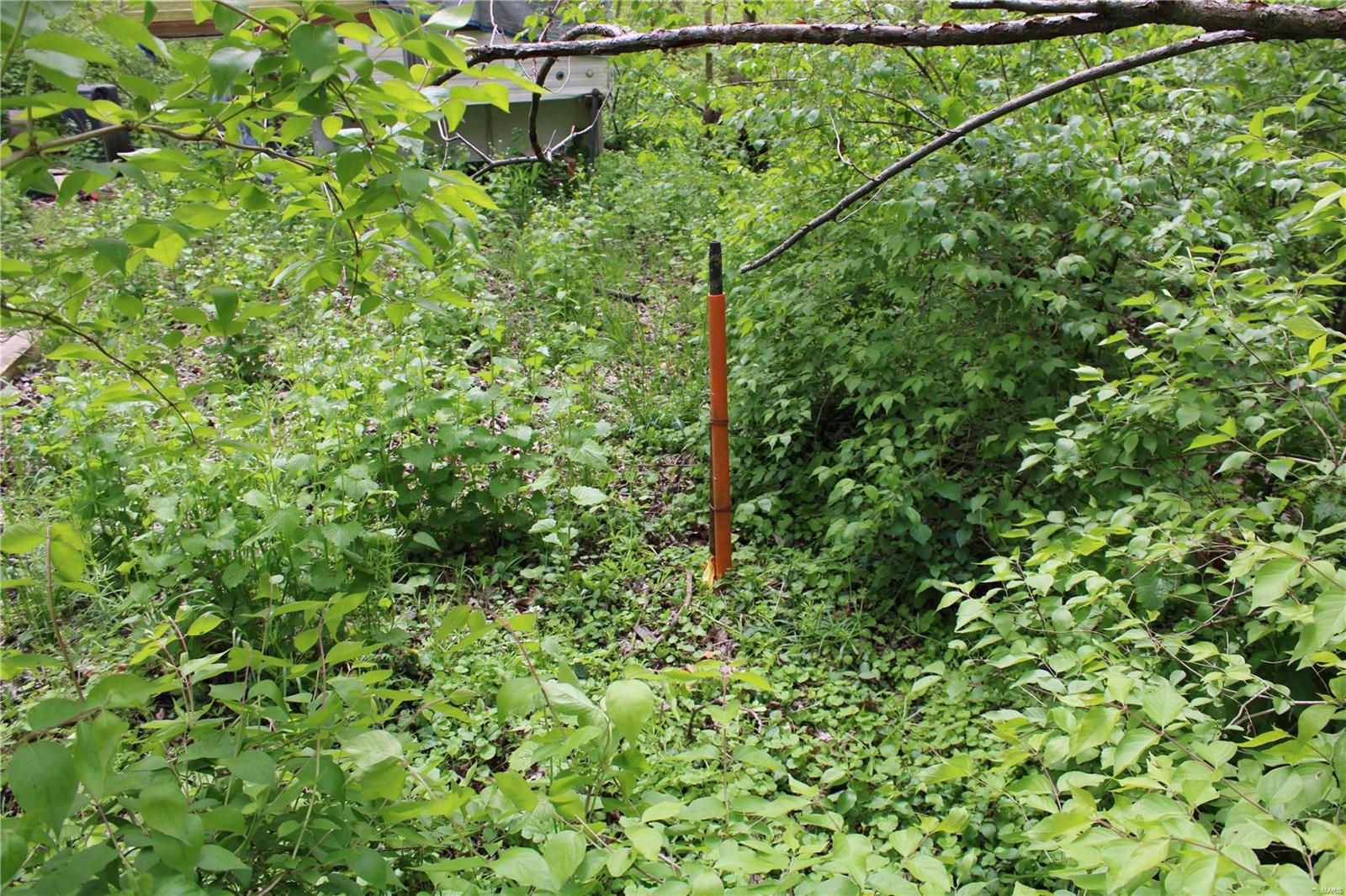 0 Funk School Road Freeburg, IL 62243 - Photo 10 of 27
