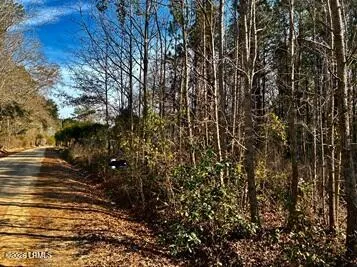 $100,000 | 278 Sylvester Road, Varnville, SC 29944