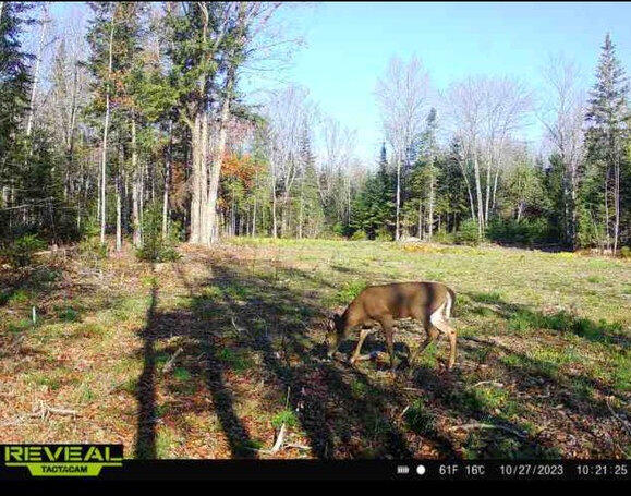 202 Lower Cross Road Hudson, ME 04449 - Photo 32 of 44 image_123650291 (1)